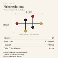 Fiche technique multicolore : fer, largeur 37 cm, hauteur 24 cm, six disques, fixation par vis, cote D fournisseur 40 mm